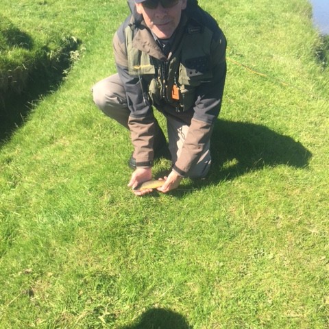 River Ure Hawed