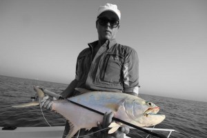 Queenfish, Dubai - Ocean Active Team