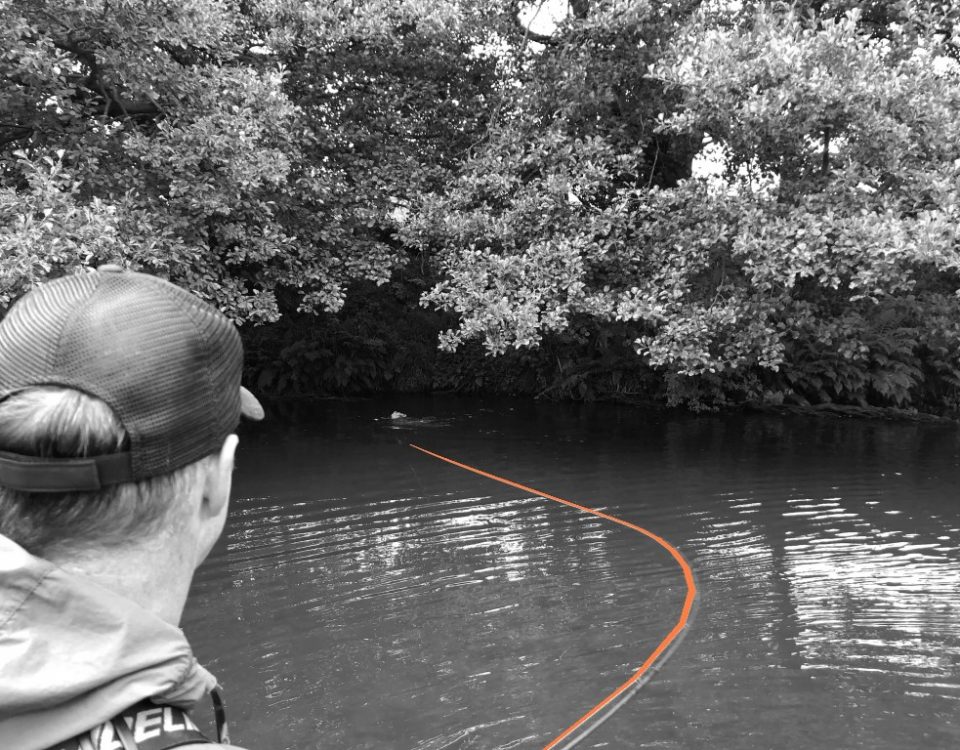 Fly fishing lines cphague